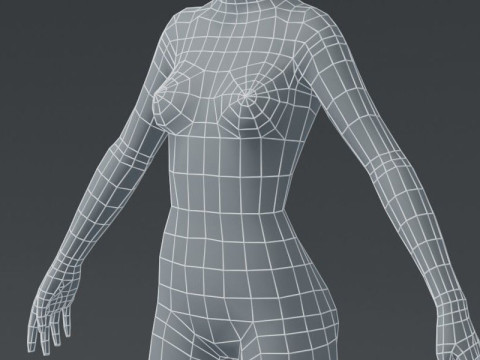 Female Body Base Mesh 3D Model