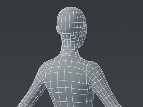 Female Body Base Mesh 3D Model