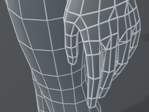 Female Body Base Mesh 3D Model