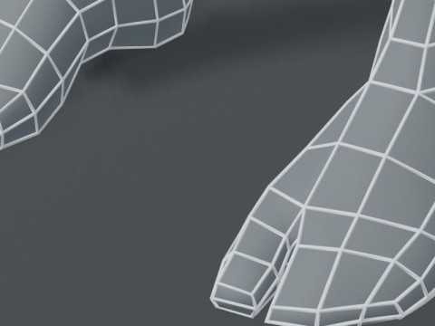 Female Body Base Mesh 3D Model