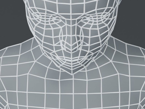 Female Body Base Mesh 3D Model