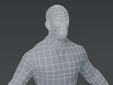 Male Body Base Mesh 3Dモデル