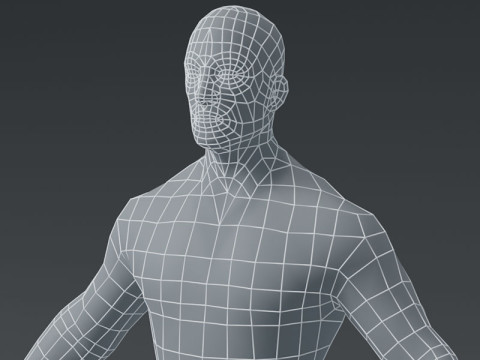 Male Body Base Mesh Modelo 3D