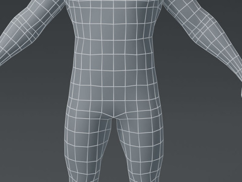 Male Body Base Mesh Modelo 3D