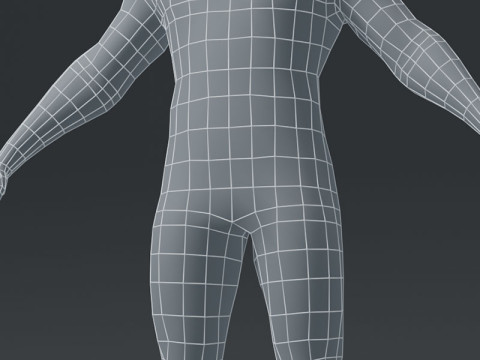 Male Body Base Mesh Modelo 3D