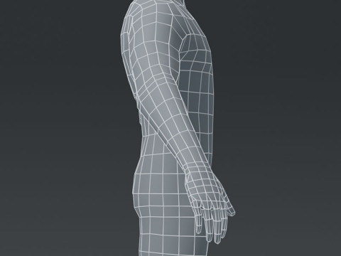 Male Body Base Mesh Modelo 3D