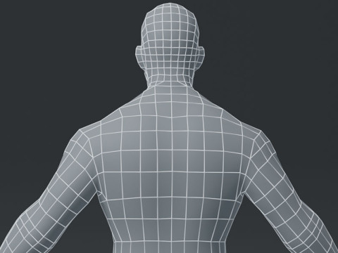 Male Body Base Mesh Modelo 3D