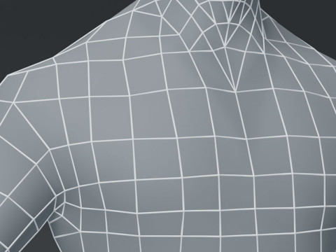 Male Body Base Mesh Modelo 3D