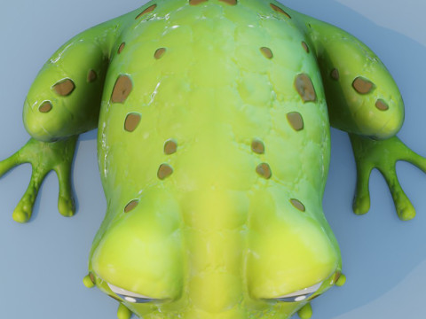 Cartoon Frog Animated 3D Model