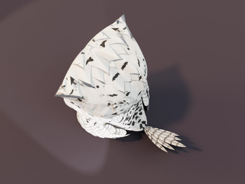 Cartoon Snowy Owl Animated Modello 3D