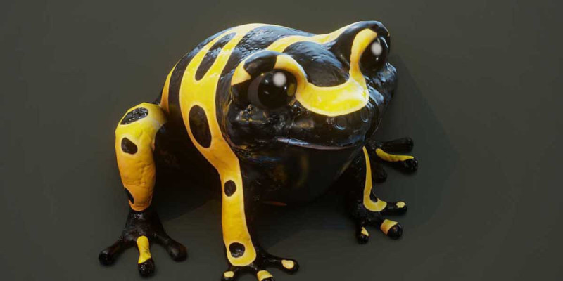 Cartoon Yellow-banded Frog Animated Model 3D .c4d .max .obj .3ds .fbx .stl .blend 