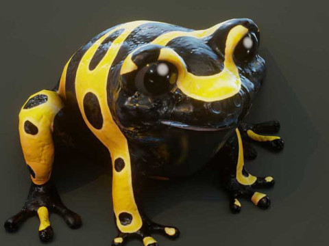 Cartoon Yellow-banded Frog Animated 3D 模型