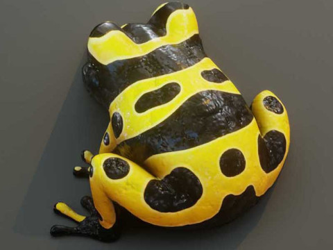 Cartoon Yellow-banded Frog Animated Model 3D