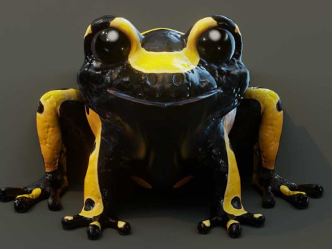 Cartoon Yellow-banded Frog Animated Model 3D