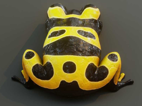 Cartoon Yellow-banded Frog Animated Model 3D