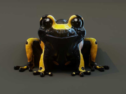 Cartoon Yellow-banded Frog Animated Model 3D