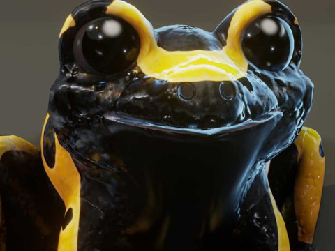Cartoon Yellow-banded Frog Animated Model 3D