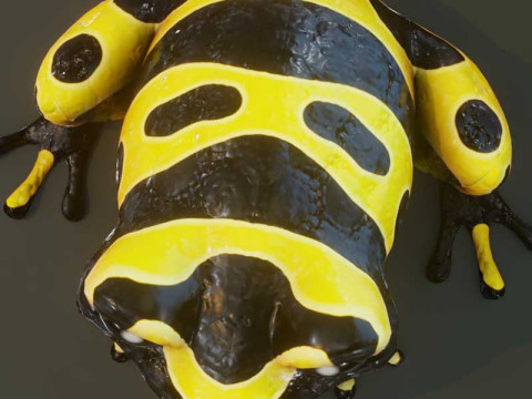 Cartoon Yellow-banded Frog Animated Model 3D