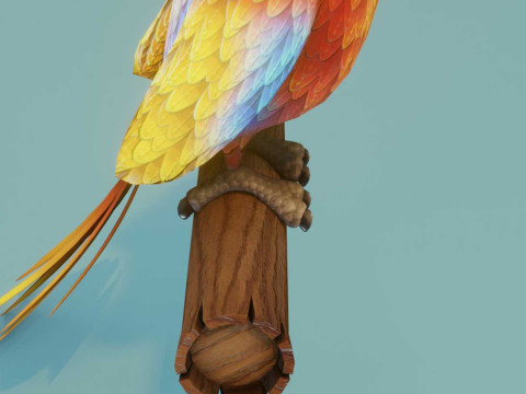 Cartoon Ara Parrot Red-Yellow-Blue Animated 3D Model
