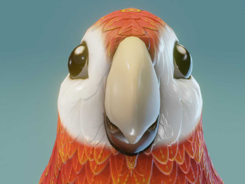 Cartoon Ara Parrot Red-Yellow-Blue Animated 3D Model