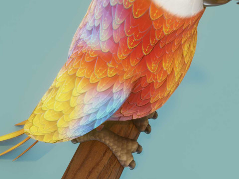 Cartoon Ara Parrot Red-Yellow-Blue Animated 3D Model