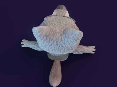Cartoon Wolf Animated Model 3D