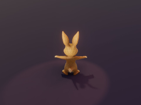 Cartoon Kangaroo Animated Modèle 3D