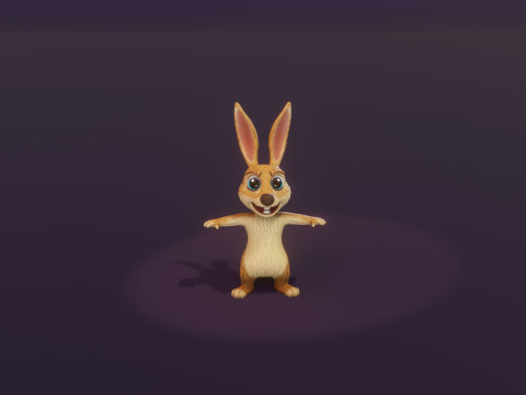 Cartoon Kangaroo Animated Modèle 3D