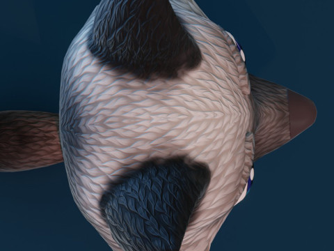 Cartoon Silver Fox Animated Model 3D