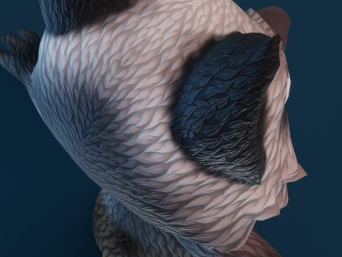 Cartoon Silver Fox Animated Model 3D
