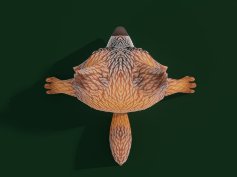 Cartoon Grey Fox Animated 3Dモデル