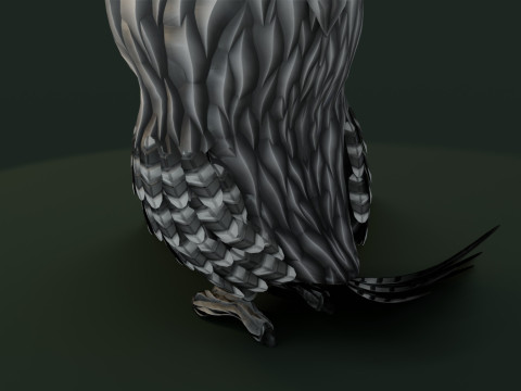 Cartoon Grey Owl Animated Modèle 3D