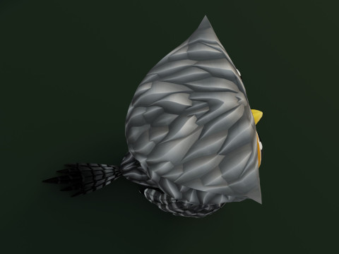 Cartoon Grey Owl Animated Modèle 3D