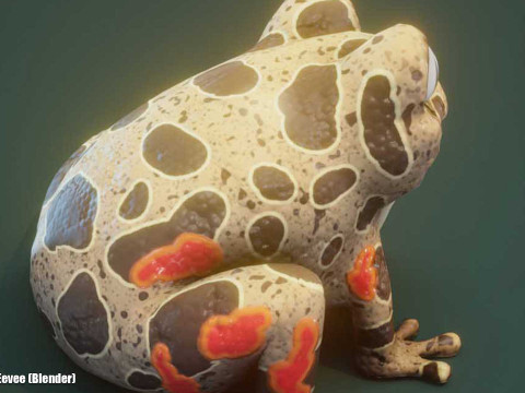 Cartoon Red-legged Frog Animated Modello 3D