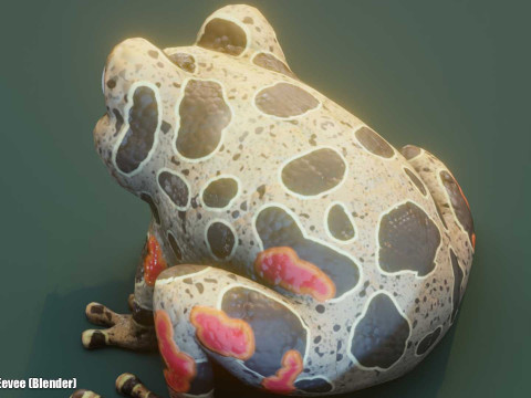 Cartoon Red-legged Frog Animated Modello 3D