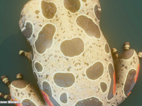Cartoon Red-legged Frog Animated Modello 3D