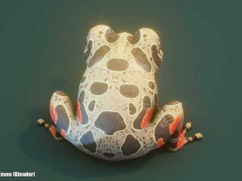 Cartoon Red-legged Frog Animated Modello 3D