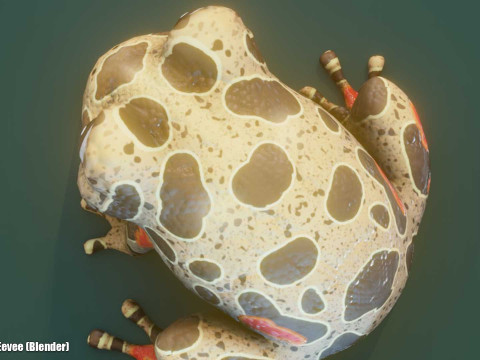Cartoon Red-legged Frog Animated Modello 3D