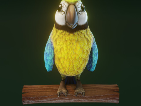 Cartoon Ara Parrot Yellow-Blue Animated Model 3D