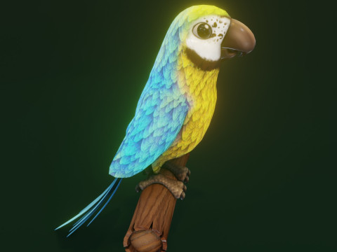 Cartoon Ara Parrot Yellow-Blue Animated Model 3D