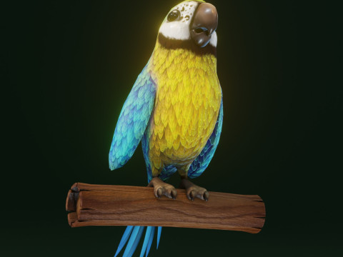 Cartoon Ara Parrot Yellow-Blue Animated Model 3D