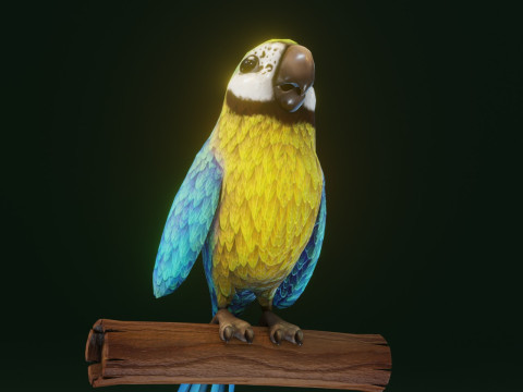 Cartoon Ara Parrot Yellow-Blue Animated Model 3D