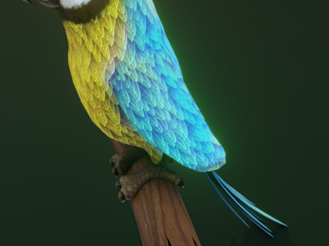 Cartoon Ara Parrot Yellow-Blue Animated Model 3D