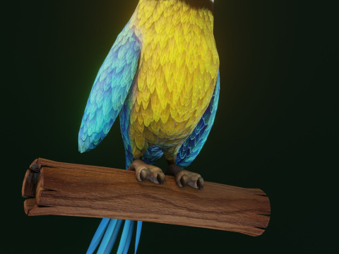 Cartoon Ara Parrot Yellow-Blue Animated Model 3D