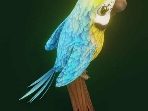 Cartoon Ara Parrot Yellow-Blue Animated Model 3D