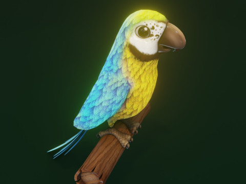 Cartoon Ara Parrot Yellow-Blue Animated Model 3D