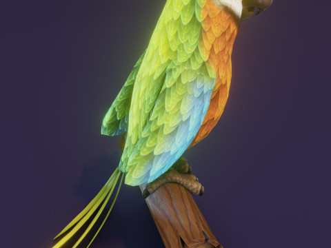 Cartoon Ara Parrot Blue-Yellow-Green Animated Model 3D