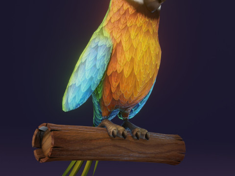 Cartoon Ara Parrot Blue-Yellow-Green Animated Model 3D