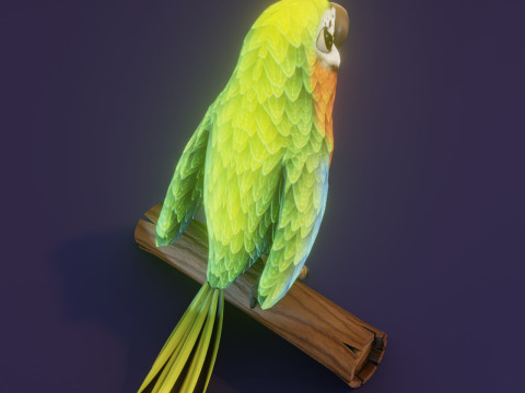 Cartoon Ara Parrot Blue-Yellow-Green Animated Model 3D