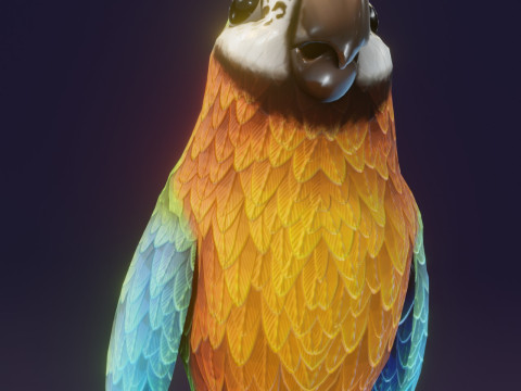 Cartoon Ara Parrot Blue-Yellow-Green Animated Model 3D